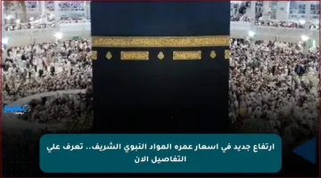 ارتفاع جديد في أسعار عمرة المواد النبوي الشريف.. تعرف على التفاصيل الآن